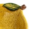 Hello Honey® 6" Countryside Citrus Stoneware Lemon Juicer